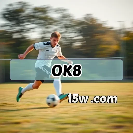 ok8.com: Vantagens da Privacidade em Jogos Online